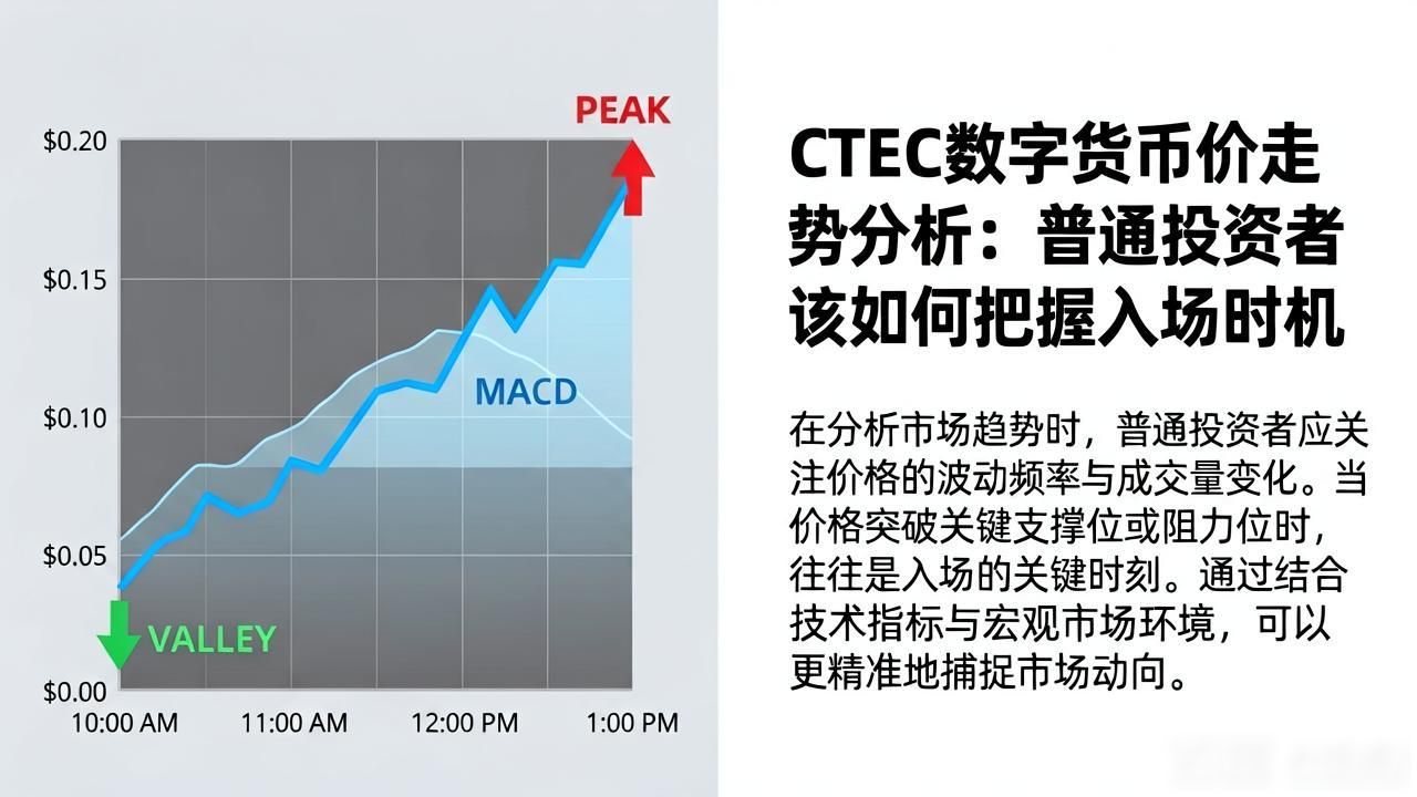 CTEX数字货币价走势分析：普通投资者该如何把握入场时机